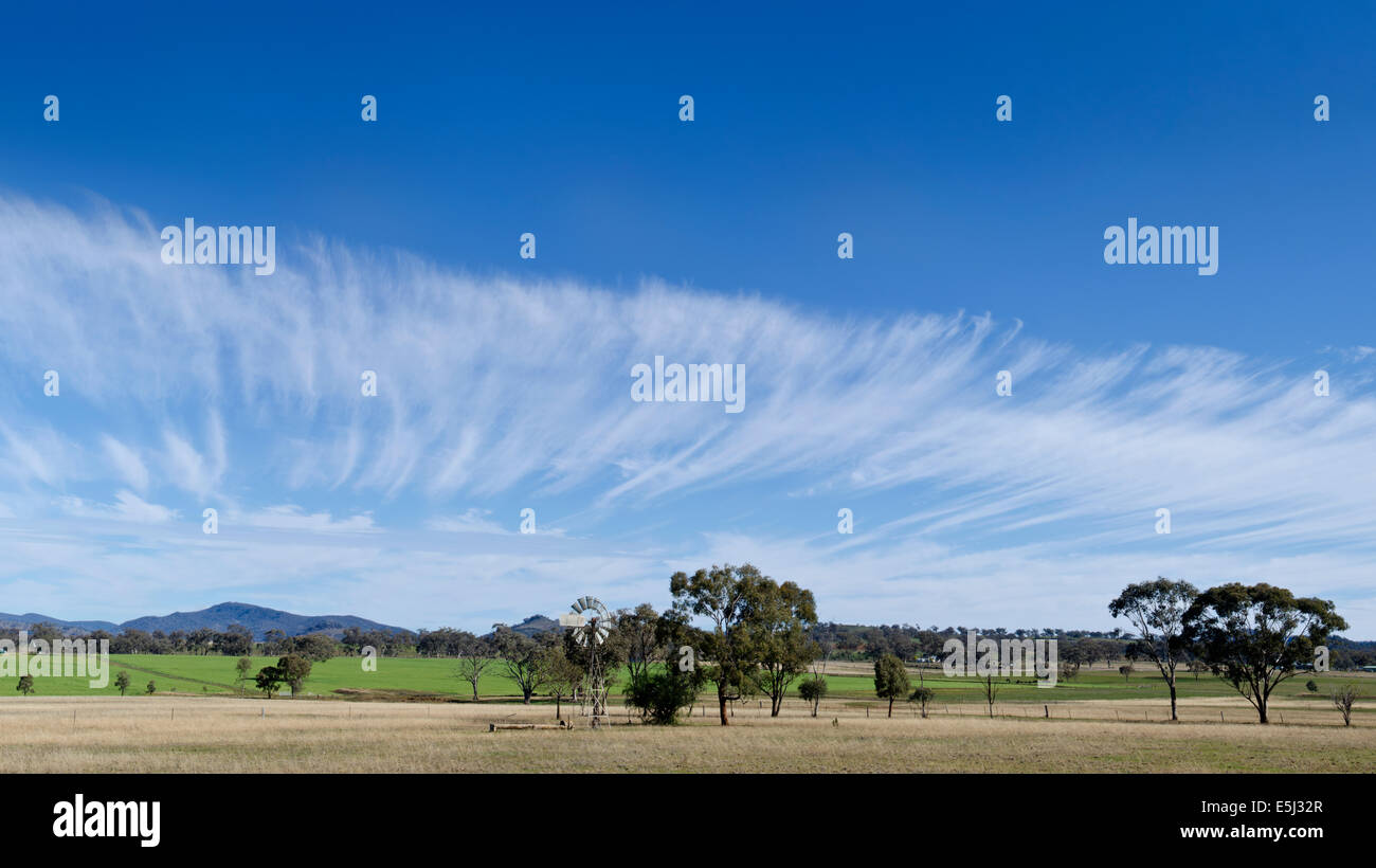 Eine Bank von Cirrus-Wolken über Ackerland bei Tamworth NSW Australia Stockfoto