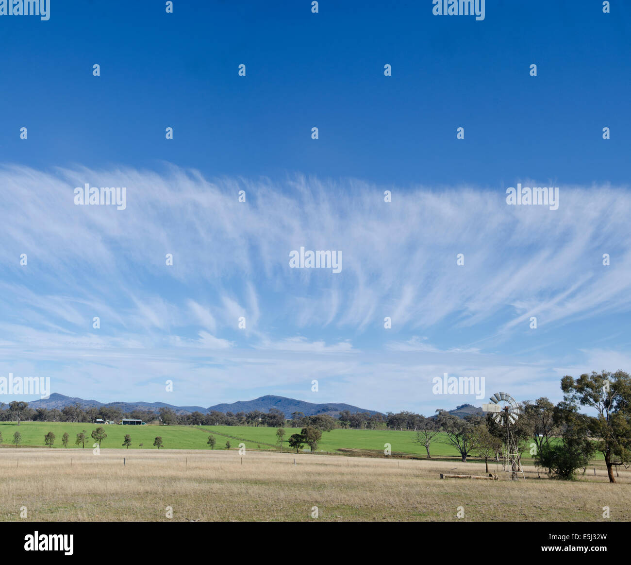 Eine Front der Cirrus Wolke nähert sich Farm landet in Tamworth NSW Australien. Stockfoto