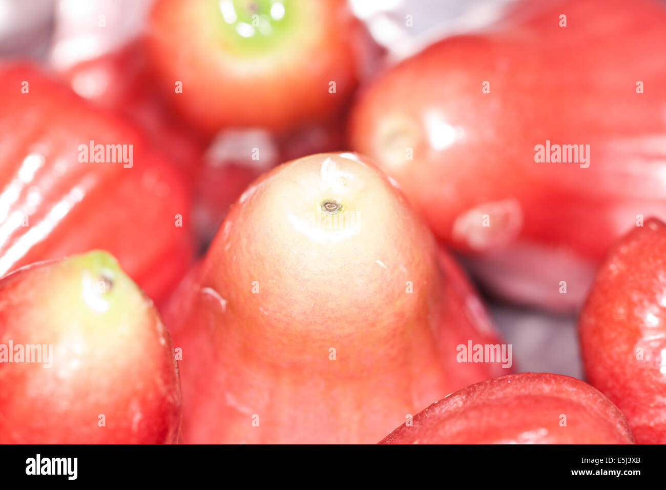 Rosenapfel Stockfoto
