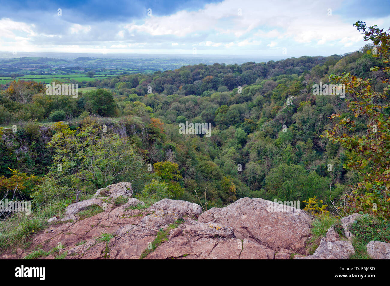 Blick hinunter in die Ebbor Schlucht, Mendip Hügel, Somerset, England, UK Stockfoto