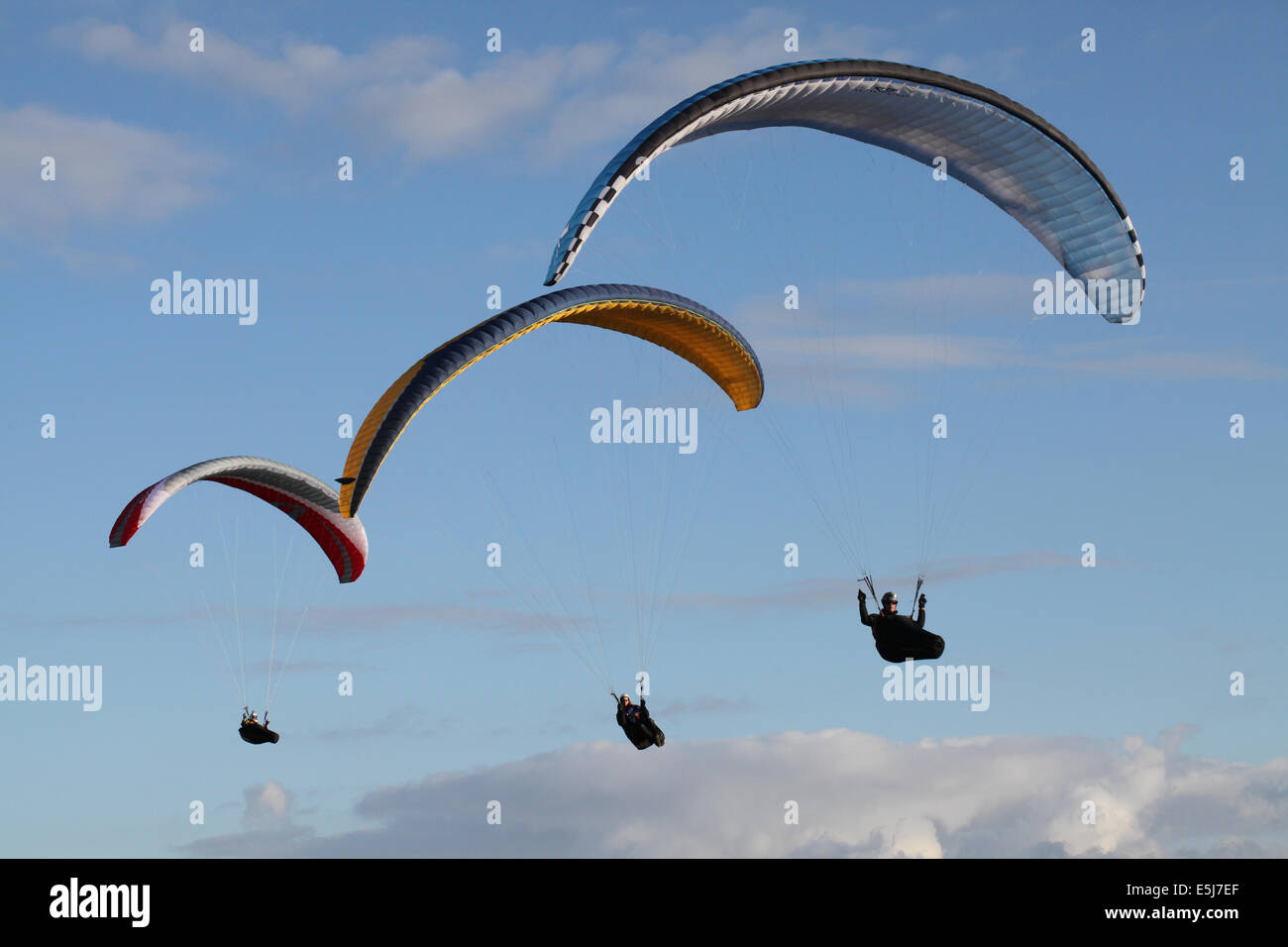 Gleitschirme in Bildung, Hangflug in Wiltshire Stockfoto
