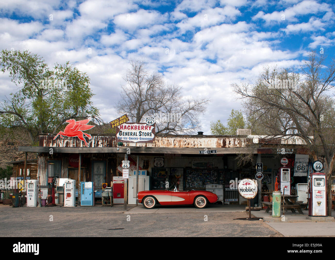 Der Hackberry General Store in Arizona ist ein nostalgischer Zwischenstopp an der alten Route 66, voller Vintage-Americana, Oldtimer und schrulligem Charme am Straßenrand. Stockfoto