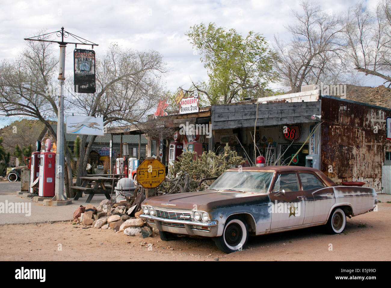 Der Hackberry General Store in Arizona ist ein nostalgischer Zwischenstopp an der alten Route 66, voller Vintage-Americana, Oldtimer und schrulligem Charme am Straßenrand. Stockfoto