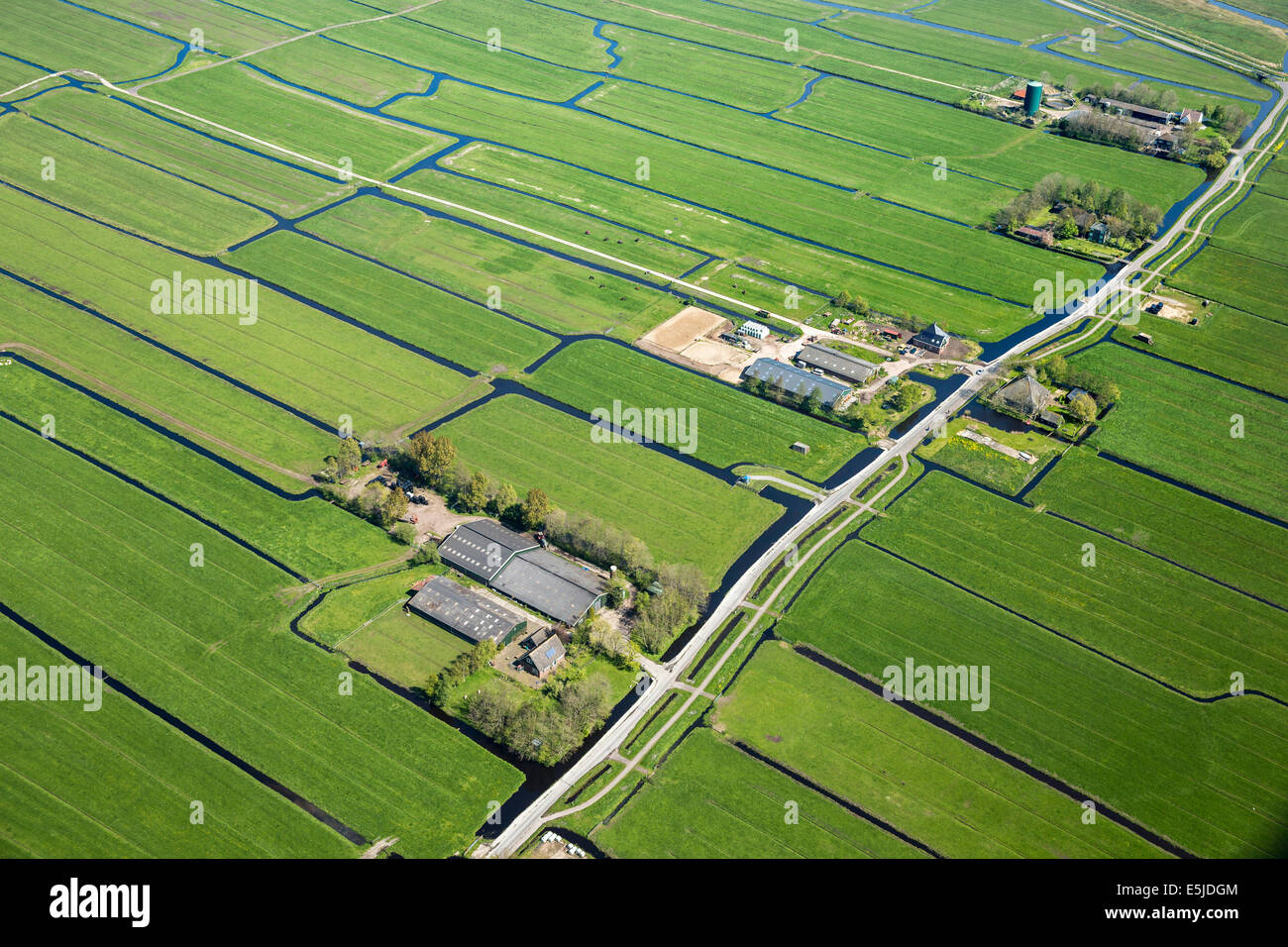 Niederlande, Durgerdam. Bauernhöfe im Polder genannt IJdoorn. Luftbild Stockfoto