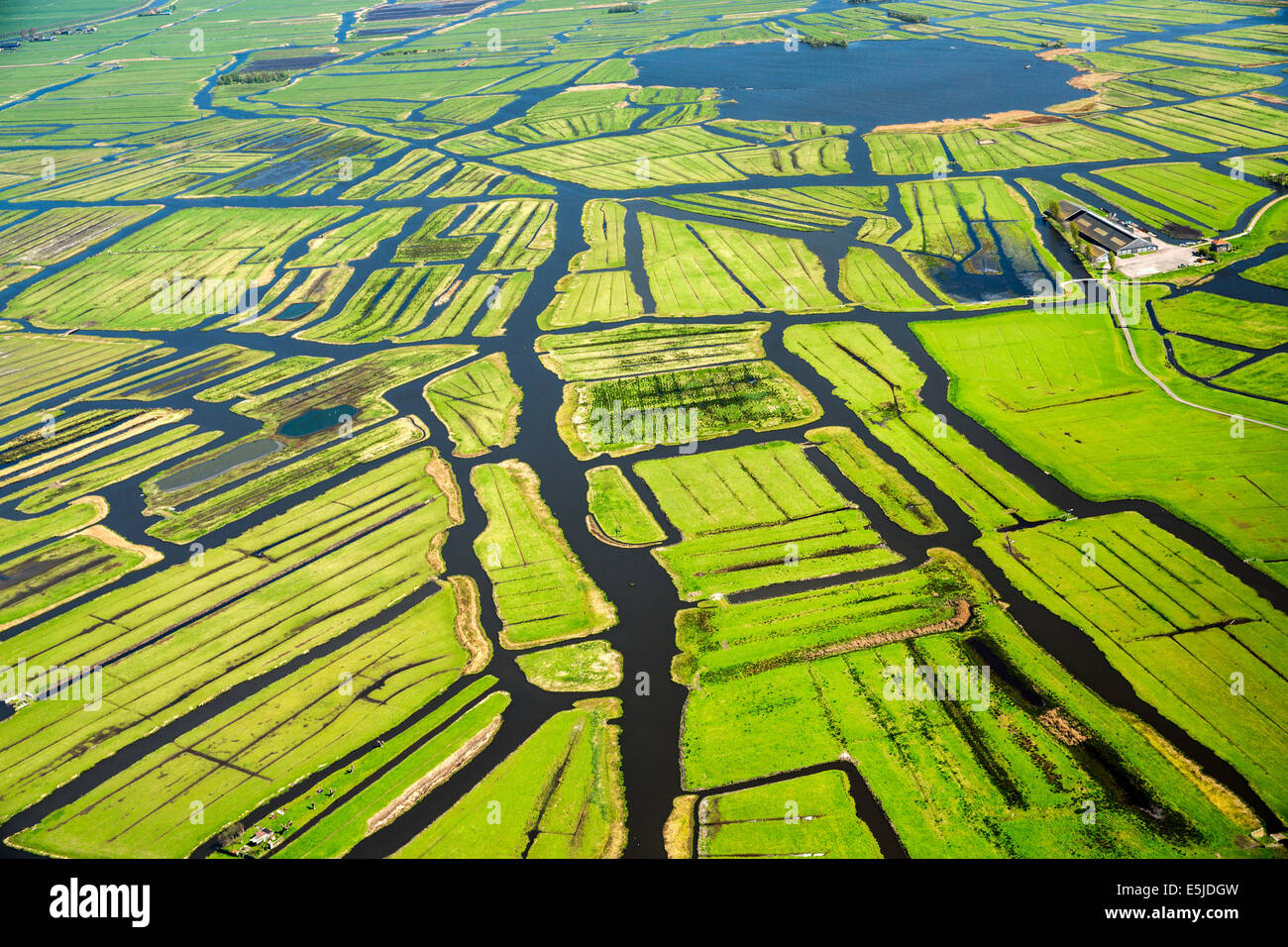 Niederlande, Oostzaan, Bauernhaus in Polder. Luft. Stockfoto