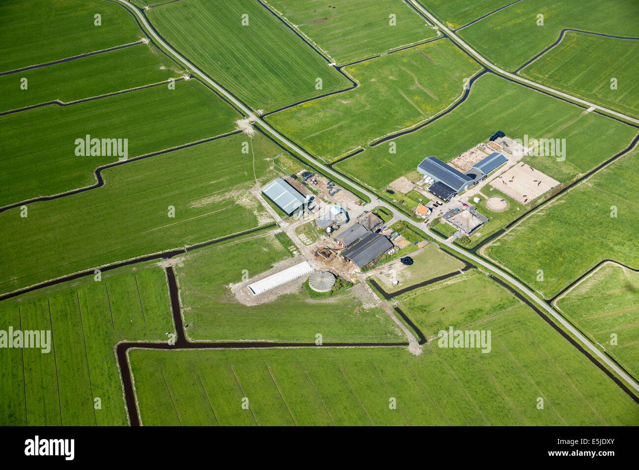 Niederlande, Burgervlotbrug, Bauernhof, Antenne Stockfoto
