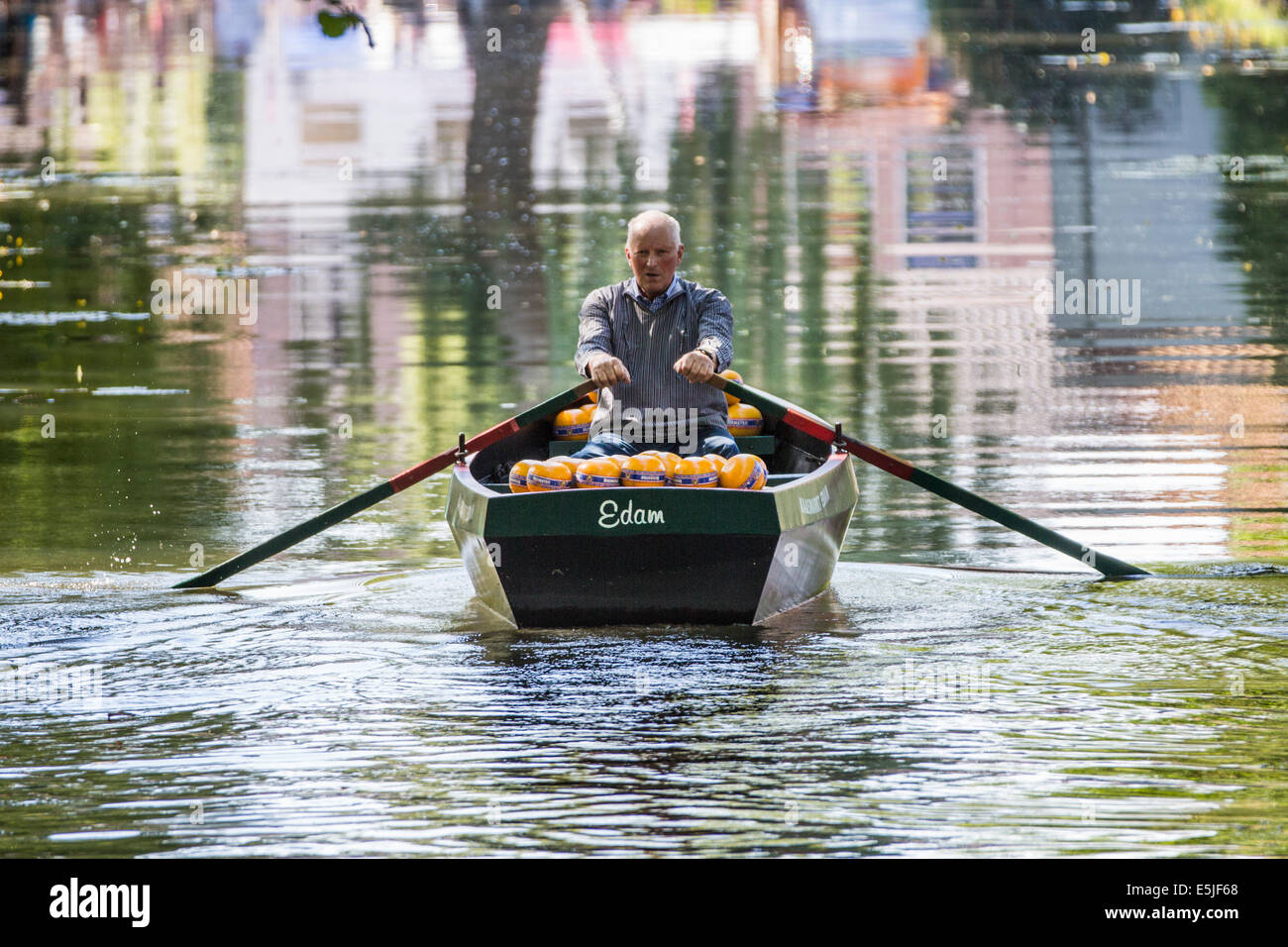 Niederlande, Edam, Käsemarkt, bringt Landwirt Käse im Ruderboot auf den Markt Stockfoto