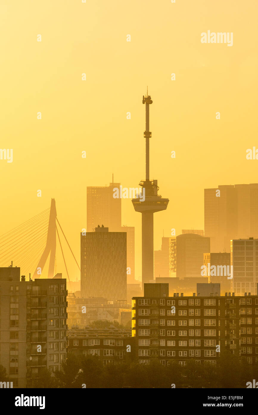 Niederlande, Rotterdam, Skyline mit Euromast und Erasmus Brücke. Sunrise Stockfoto