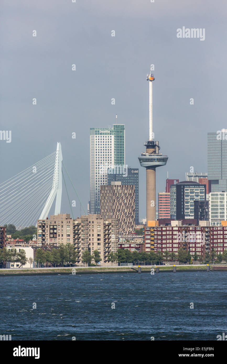 Niederlande, Rotterdam, Skyline mit Euromast und Erasmus Brücke. Sunrise Stockfoto