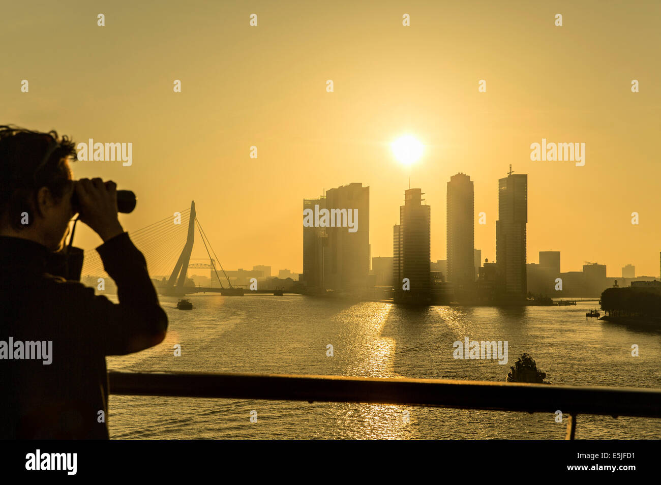 Niederlande, Rotterdam, Kop van Zuid Viertel Hochhäuser. Erasmus-Brücke. Sunrise. Frau, die durch ein Fernglas. Stockfoto