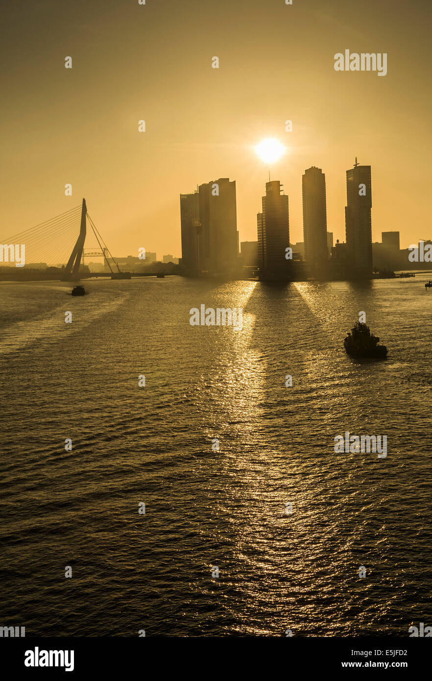 Niederlande, Rotterdam, Kop van Zuid-Viertel mit Kreuzfahrt-terminal und High-Rise Gebäude. Erasmus-Brücke. Sunrise. Stockfoto