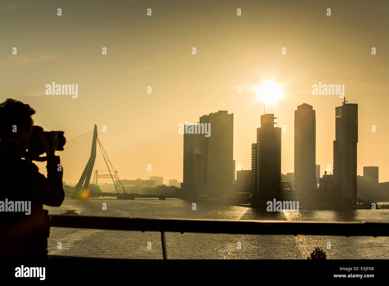 Niederlande, Rotterdam, Kop van Zuid Viertel Hochhäuser. Erasmus-Brücke. Sunrise. Frau nimmt Bild Stockfoto
