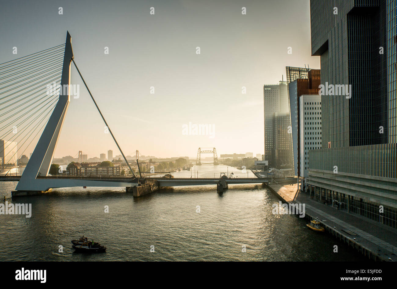Niederlande, Rotterdam, Erasmus-Brücke. Sunrise. Blick vom Kreuzfahrtschiff MS Rotterdam. Hintergrund-Brücke De Hef Stockfoto
