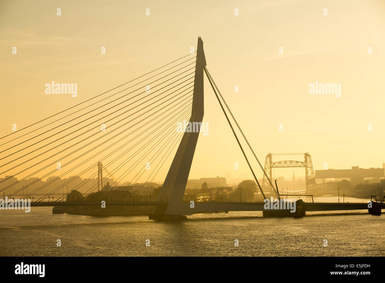 Niederlande, Rotterdam, Erasmus-Brücke, rechts De Hef-Brücke. Sunrise Stockfoto