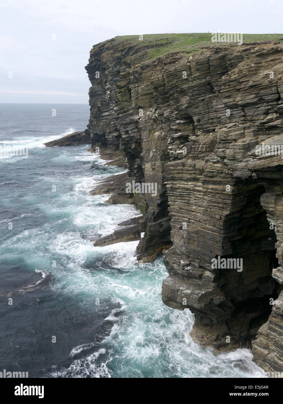 Marwick Head, Orkney Festland, Juni 2014 Stockfoto