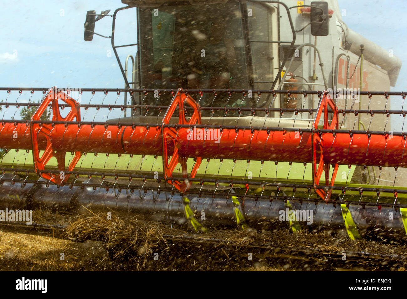 Kombinieren Sie beim Ernten von Weizen auf einem Feld, Tschechische Republik Stockfoto