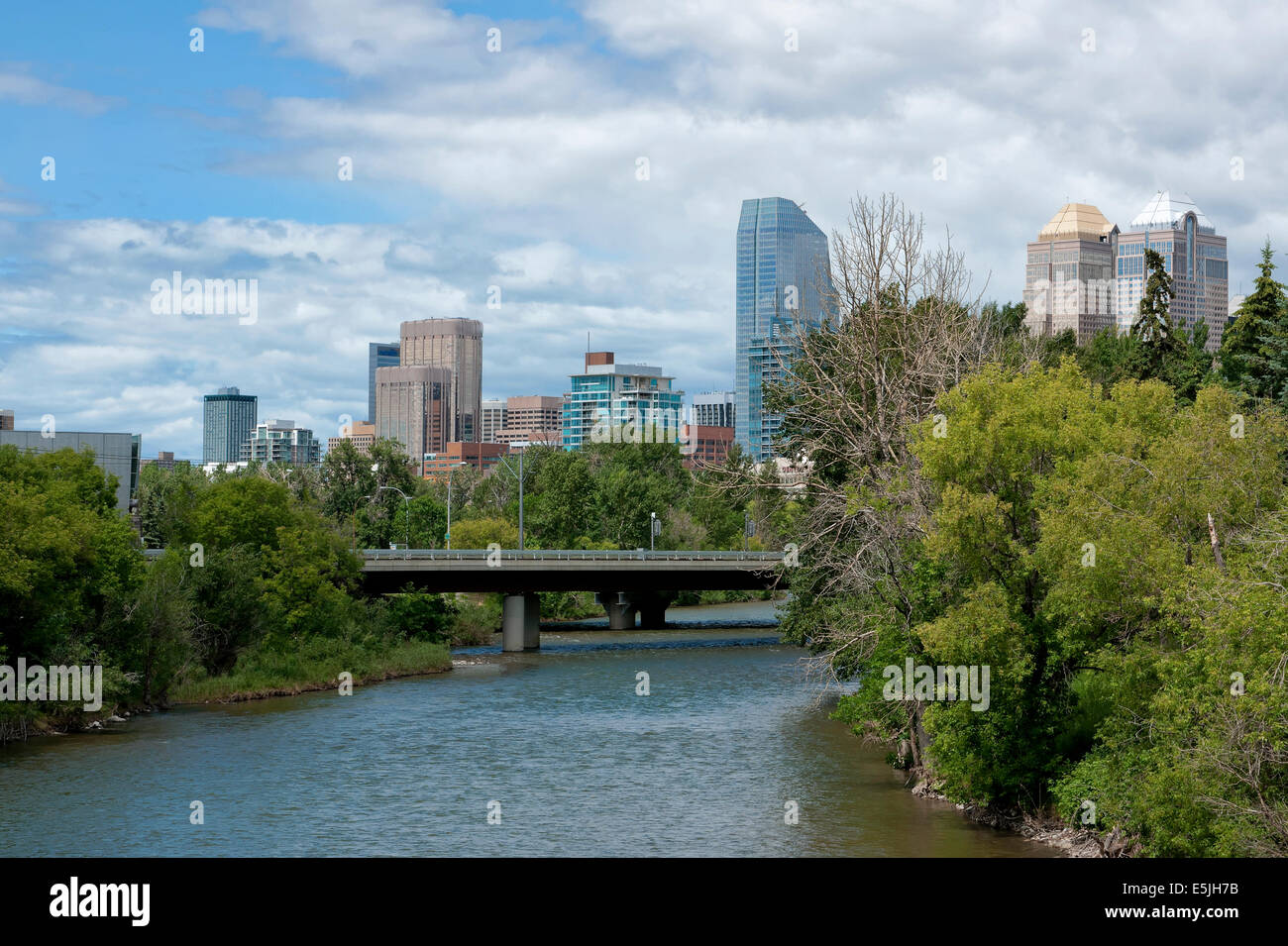 Kanada: Skyline von Calgary aus über den Fluss zu sehen. Stockfoto