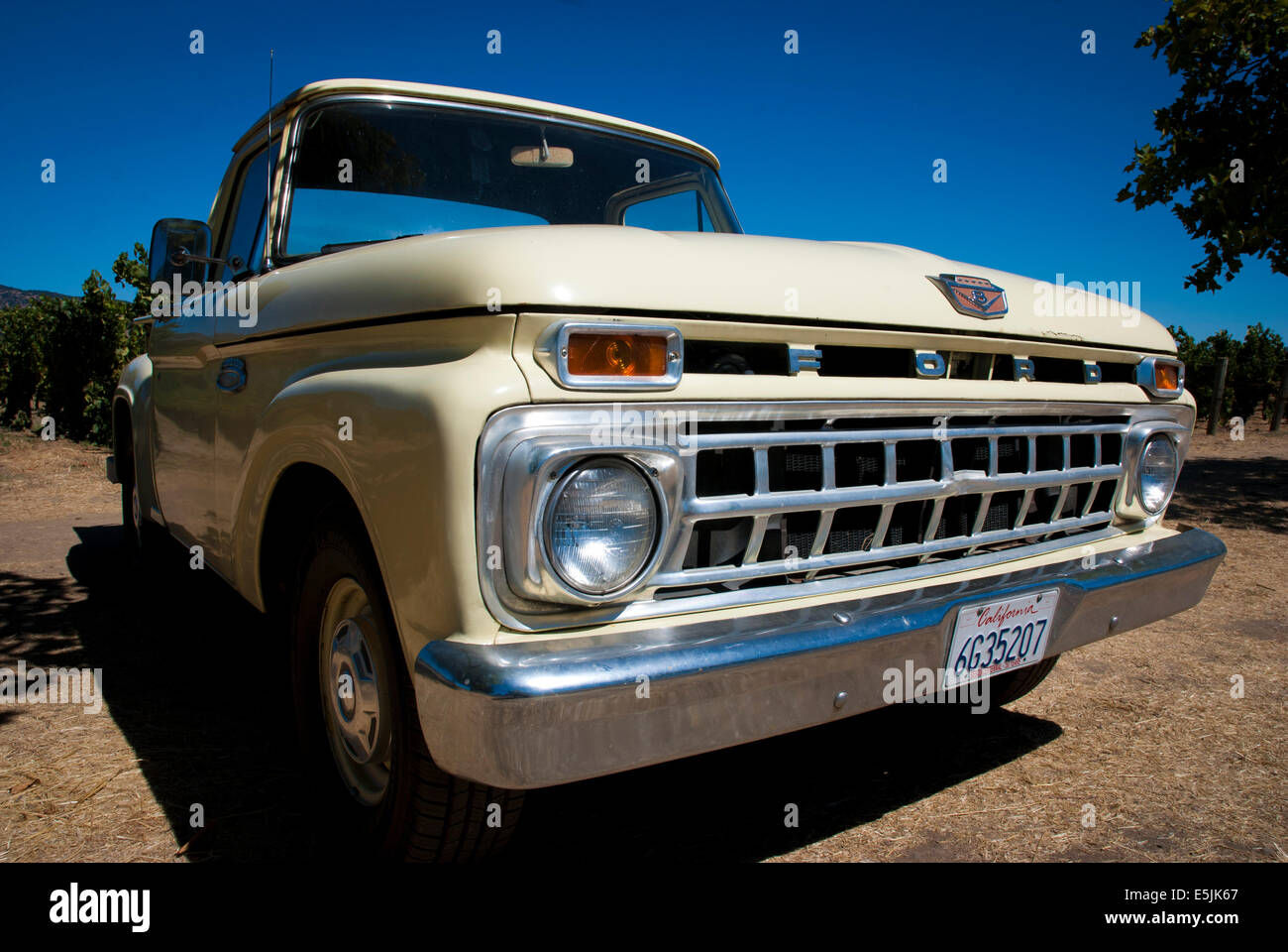 Ford F100 Pickup-Truck, Napa Valley, Kalifornien USA Stockfoto