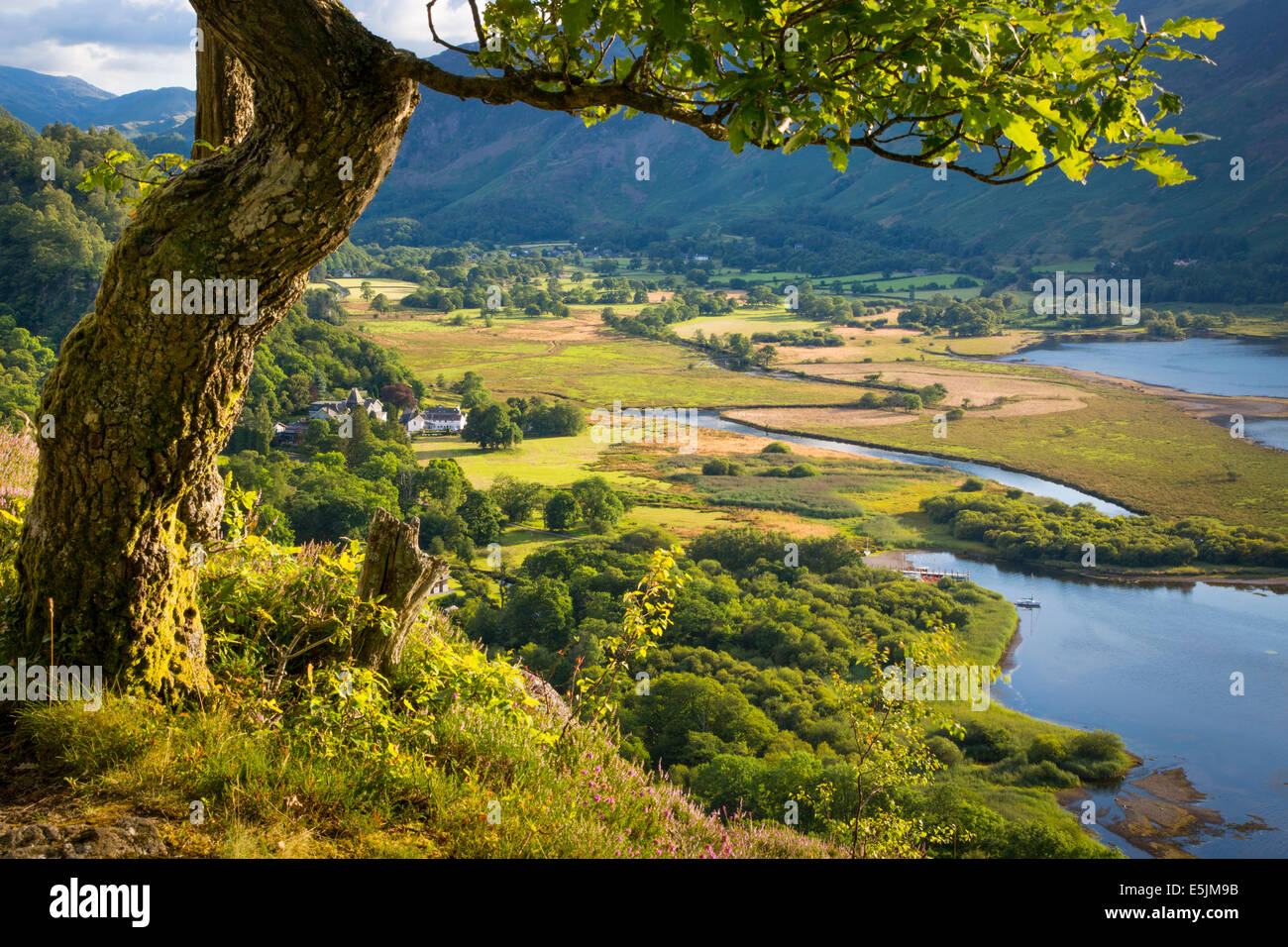 Mit Blick auf Tal Borrowdale, Derwentwater, Lake District, Cumbria, England Stockfoto