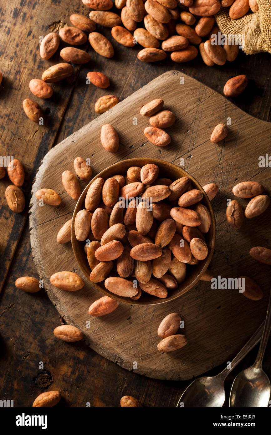 Rohe Bio Kakaobohnen in einer Schüssel Stockfoto