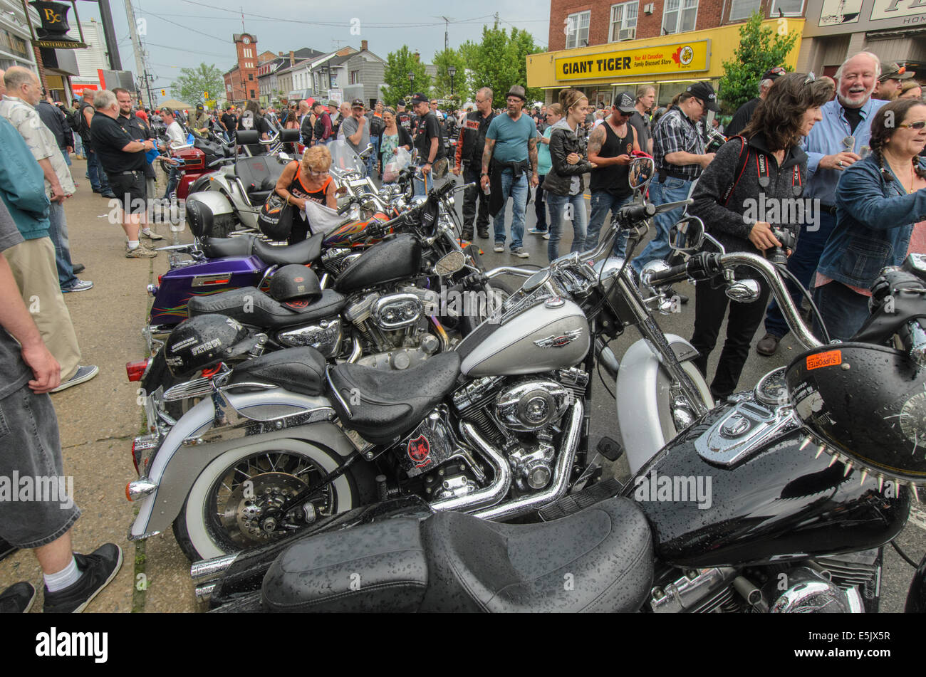 Motorräder sind überall während der "Freitag der dreizehnte" Motorrad-Rallye im Hafen Dover, Ontario, Kanada. Stockfoto