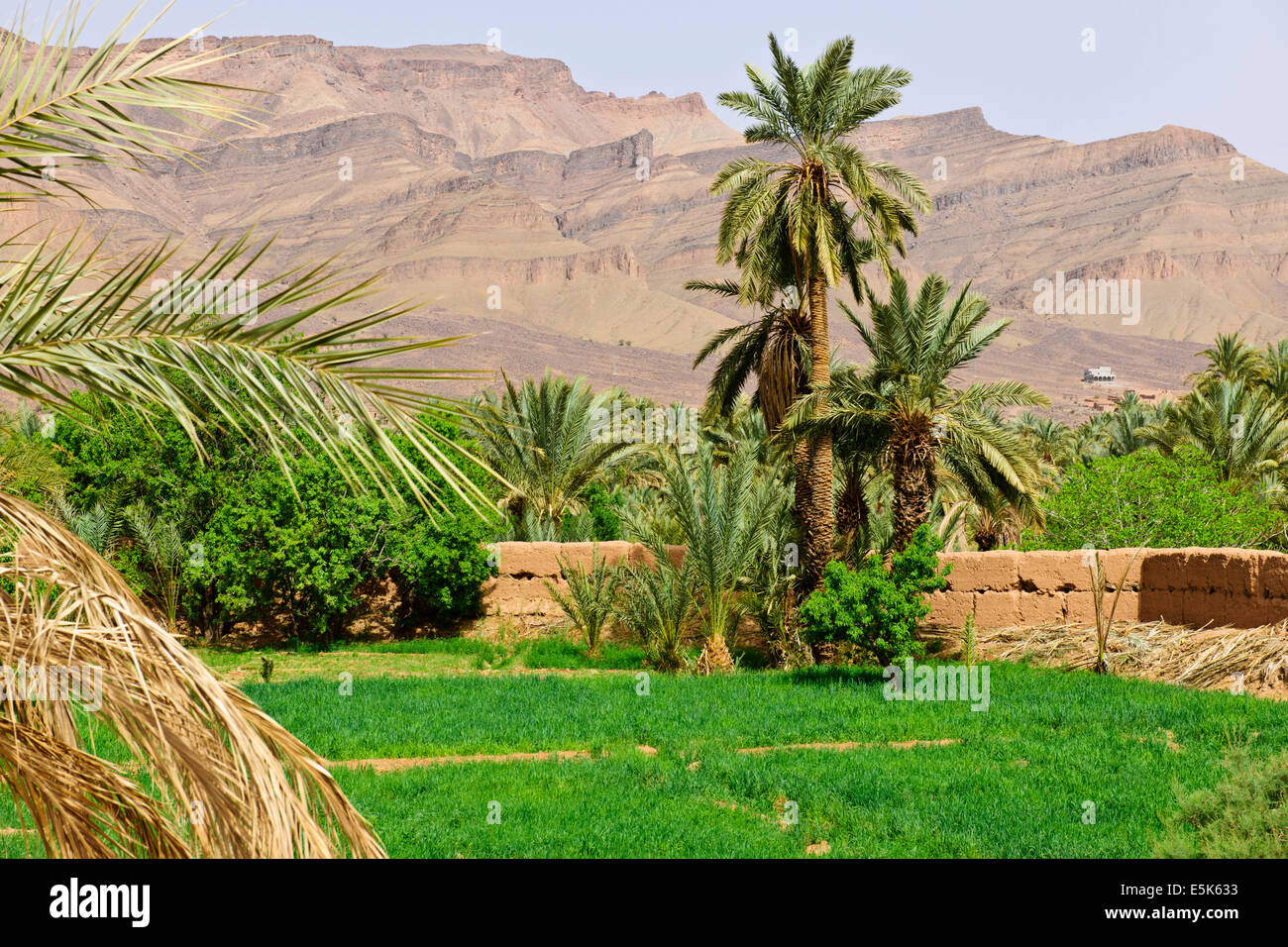 Agora, Hotel, Oase in der Wüste, Paul Street, Reisen & Landscape ...