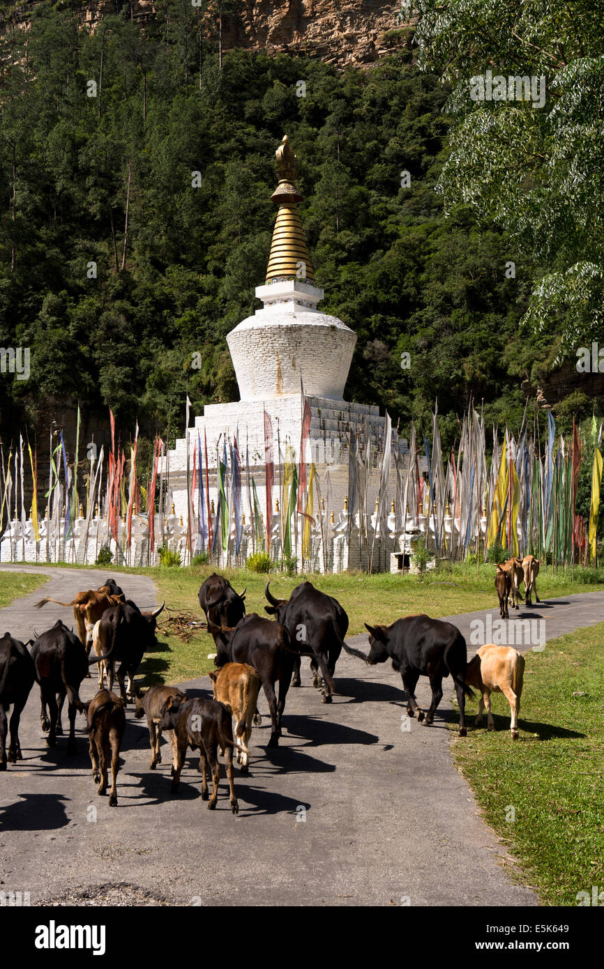 Ost Bhutan, Lhuentse Tal Autsho, gemauerte weiße tibetischen Stil chorten Stockfoto