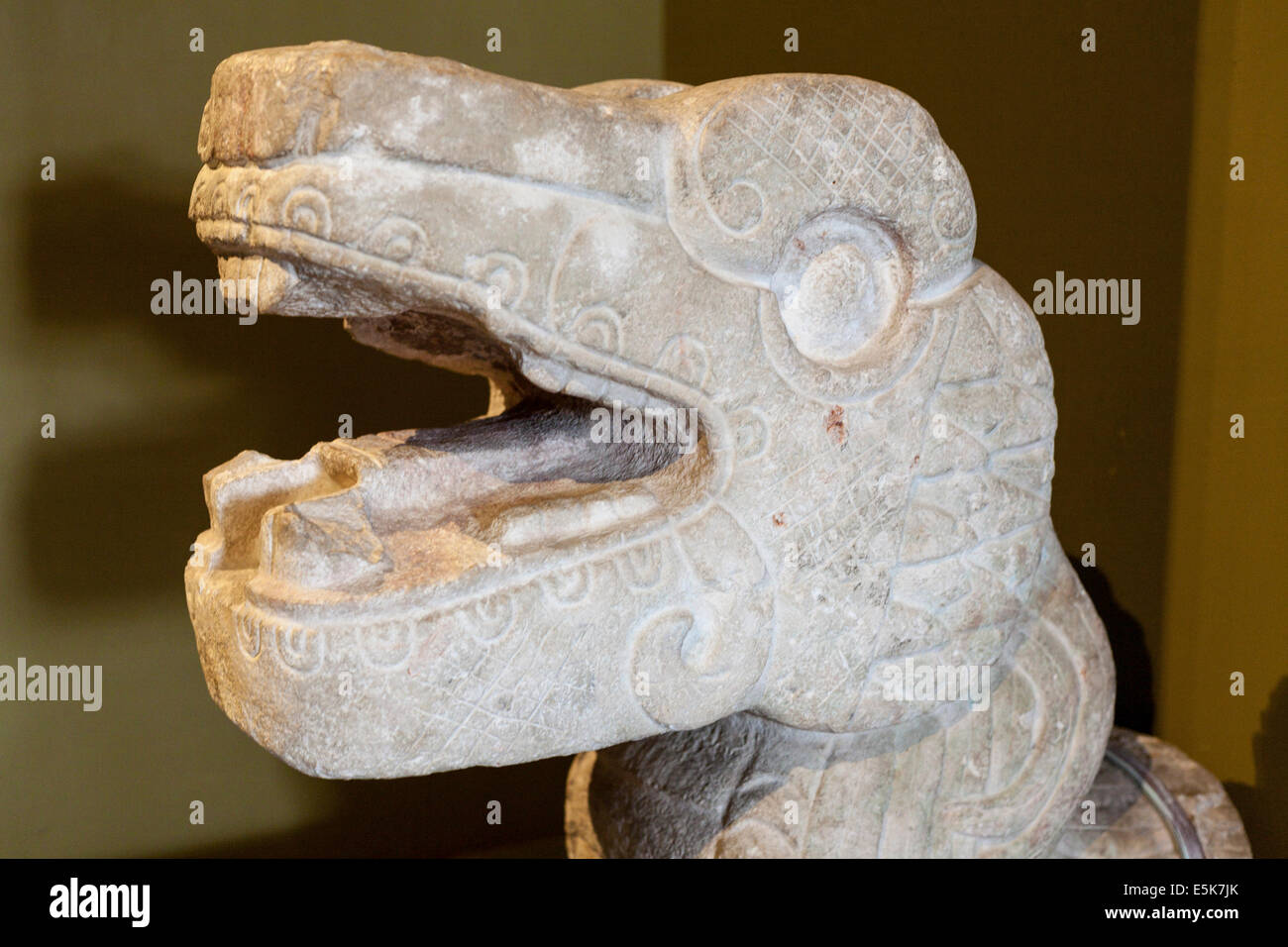 Geschnitzte Schlangenkopf. Maya-Artefakt im Museum in Merida angezeigt. Erholte sich von archäologischen Stätten in Yucatan. Regionale Stockfoto