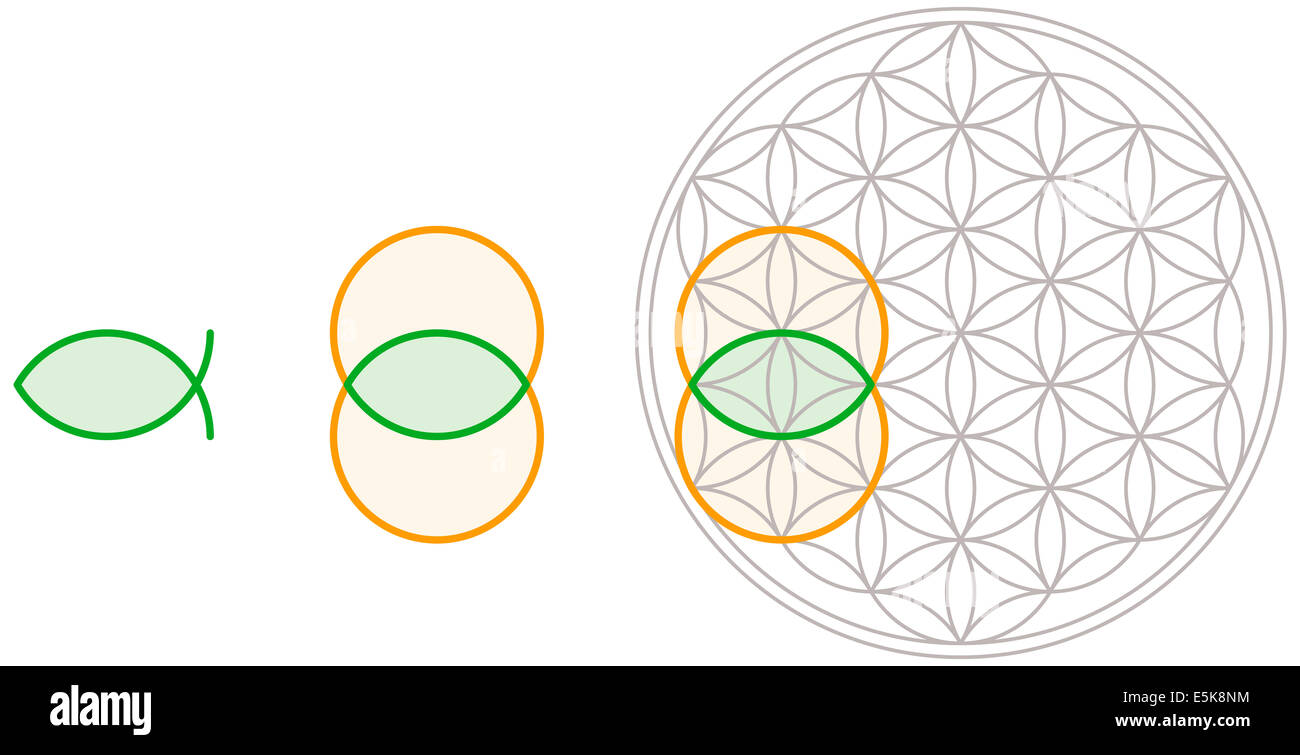 Vesica Piscis in Blume des Lebens - Vesica Piscis Form kann von der Blume des Lebens abgeleitet werden. Blase eines Fisches in lateinischer Sprache. Stockfoto