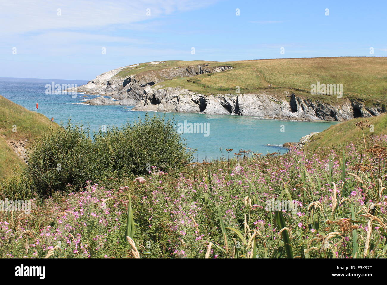 Pentire Point West in Porth Witz, Cornwall, England, UK Stockfoto