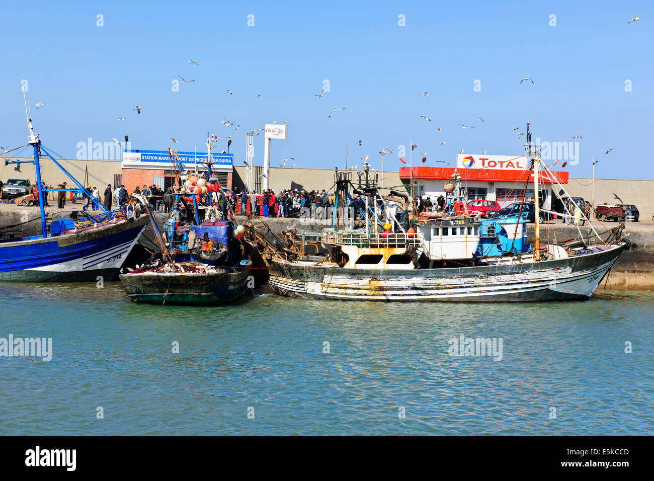 Sehr Busy Fishing Port, Atlantikküste, einige 250 Vogelarten, Fische gefangen täglich, Fischauktionen, Major Sardinen Fänge, Essaouira, Marokko Stockfoto