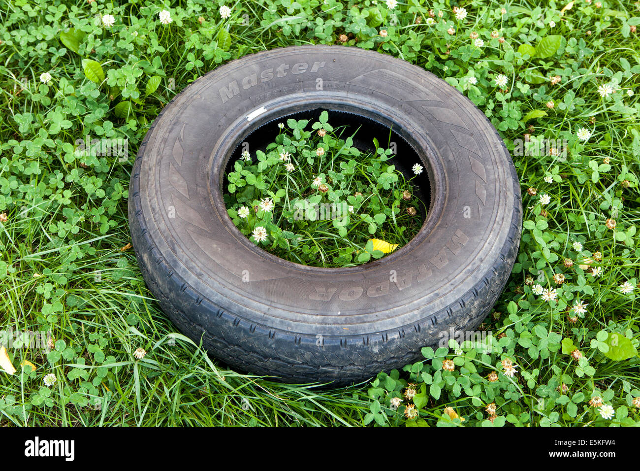 Alte Autoreifen auf Rasen Stockfoto