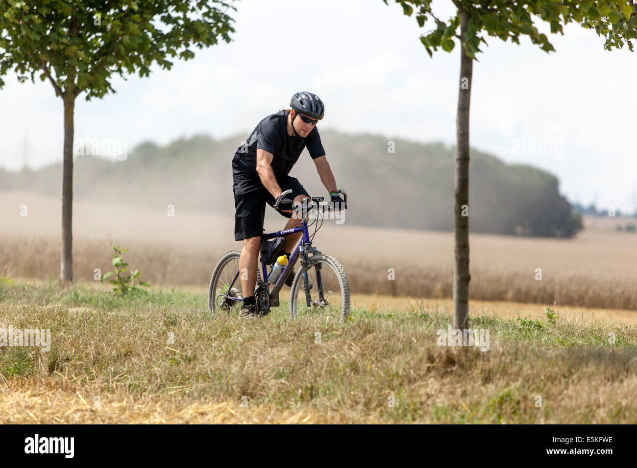 Radfahrer in der Sommerlandschaft Tschechische Republik Freizeitaktivität man Fahrrad Stockfoto