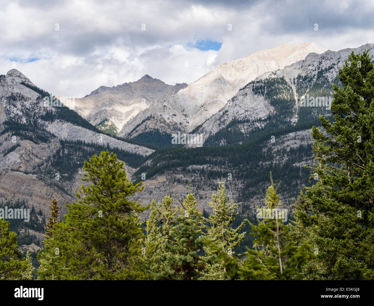 Quarzit Berge & Wald. Strahlend weiß leuchten leuchten diese reich an Quarz-Berge in der Nachmittagssonne. Stockfoto