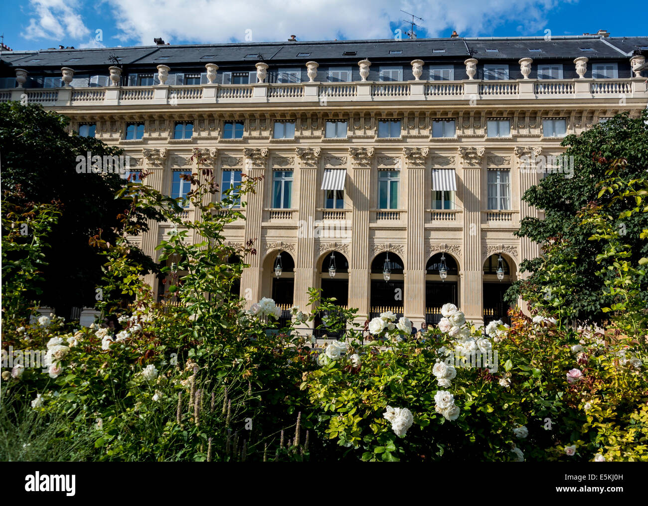 Jardin du Palais Royale Paris Frankreich Stockfoto