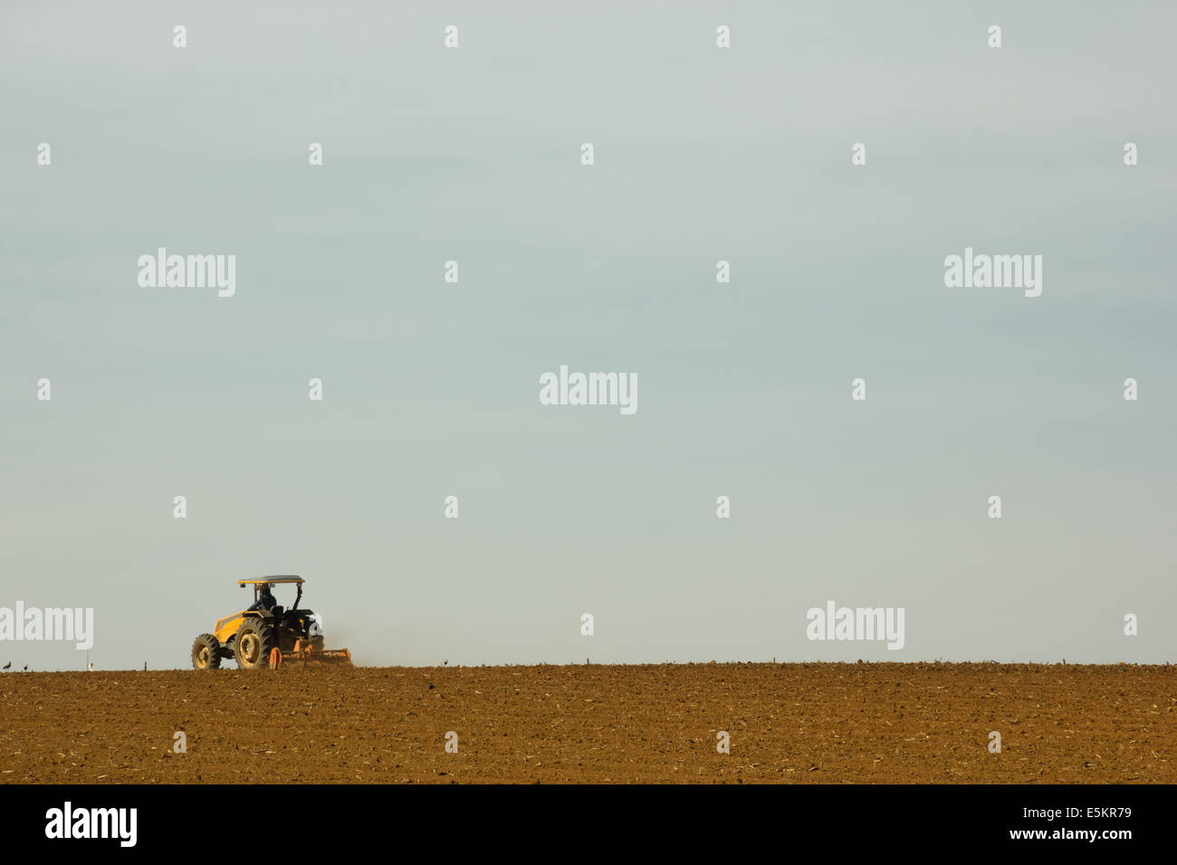 Gelbe Traktor angetrieben von einem Bauernhof bereitet den Boden für die Bepflanzung und einen grauen Hintergrund Stockfoto