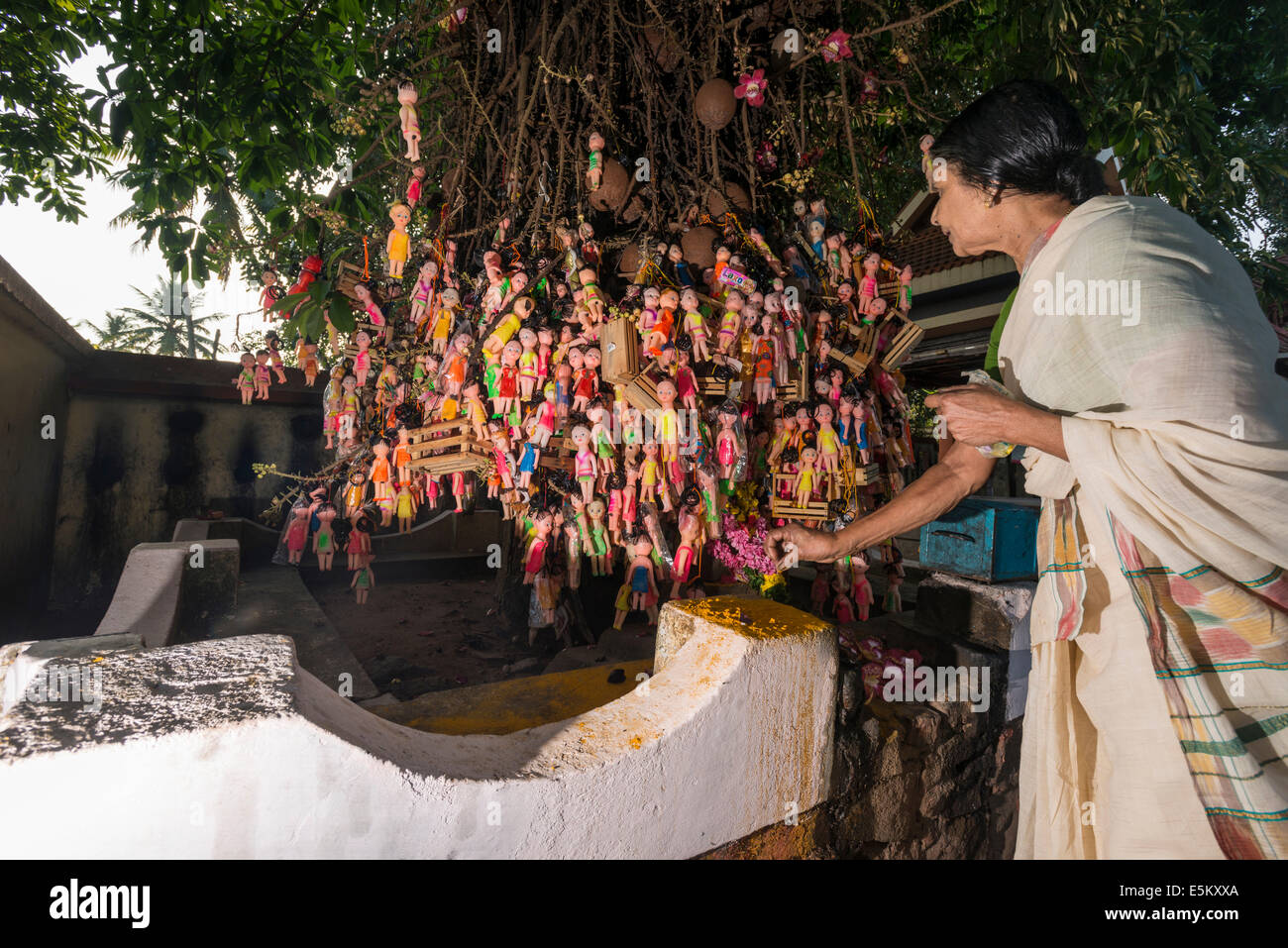 Frau eine Blume absetzen Puppen hängt an einem Baum, Angebote von kinderlosen Frauen, Janardanaswamy Tempel, Varkala, Kerala Stockfoto