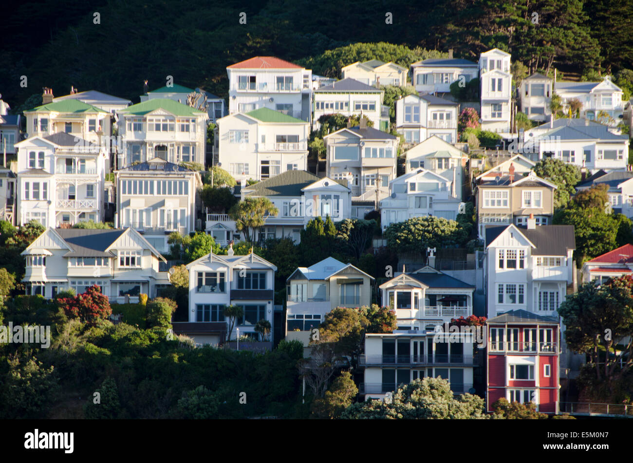 Häuser am Hang, Mount Victoria, Wellington, Nordinsel, Neuseeland Stockfoto