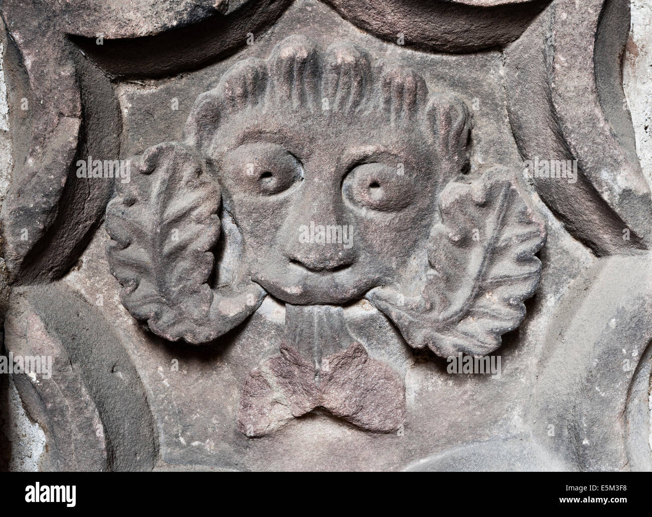 Hereford Kathedrale, UK. Eine mittelalterliche Grüner Mann auf einem Stein Chef geschnitzt. Ein Überleben aus dem Zusammenbruch des Westturms im Jahre 1786 Stockfoto