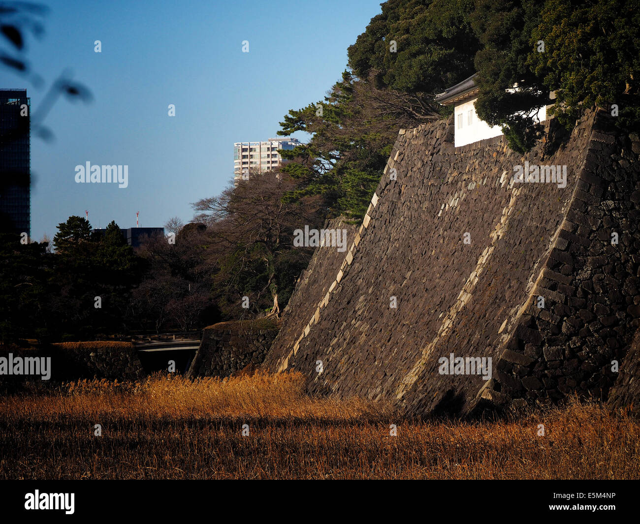Graben und steinernen Befestigungsmauer der Kaiserpalast von Tokio, Tokio, Japan Stockfoto