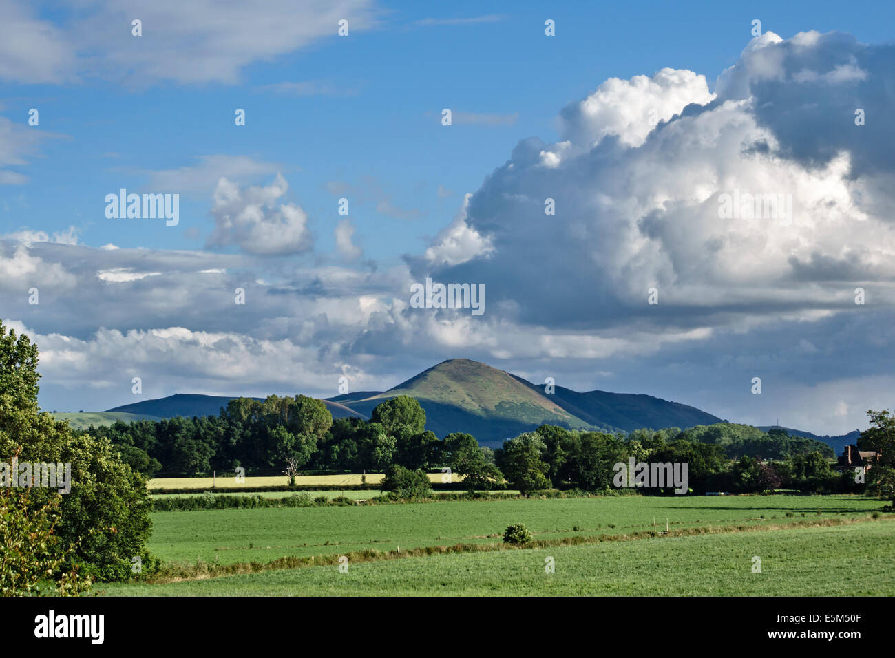Shropshire, UK. Die Hügel von Caer Caradoc mit der Bronzezeit Wallburg auf dem Gipfel. Für Caractacus genannt werden soll Stockfoto