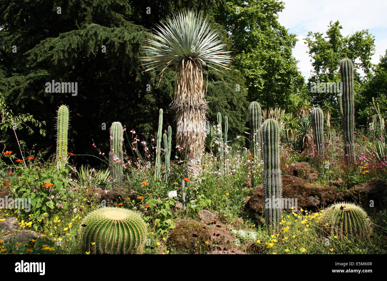 Palmengarten Stockfotos Und Bilder Kaufen Seite 2 Alamy