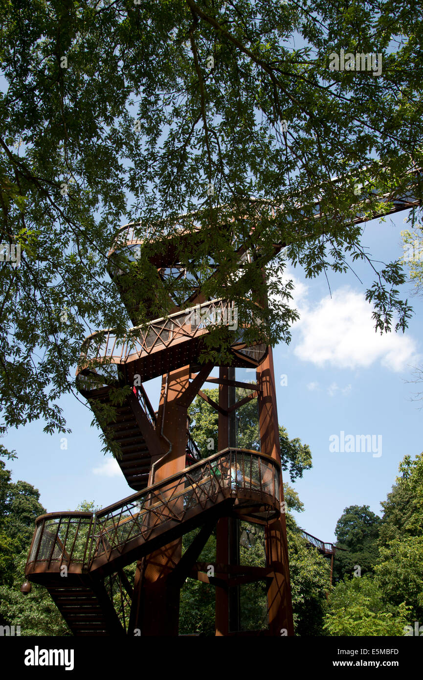 Kew Gardens. Der Xstrata Treetop Walk, gebaut von Marks Barfield Architects, so dass Besucher eine Baumkrone Ansicht erhalten Stockfoto