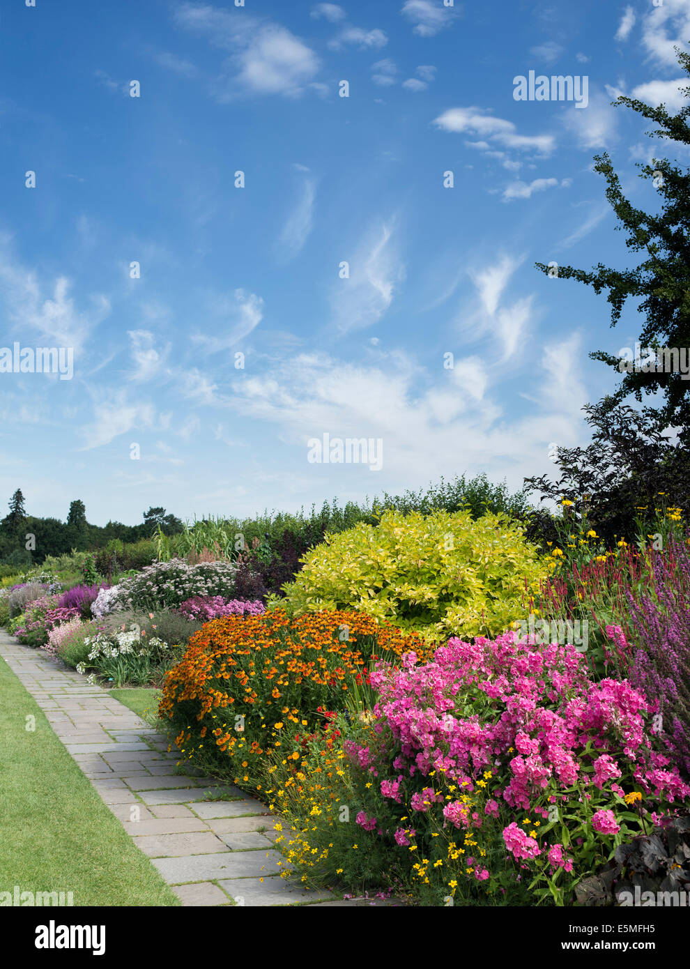 Lange Grenze im Sommer an der RHS Wisley Gardens. Surrey, England Stockfoto