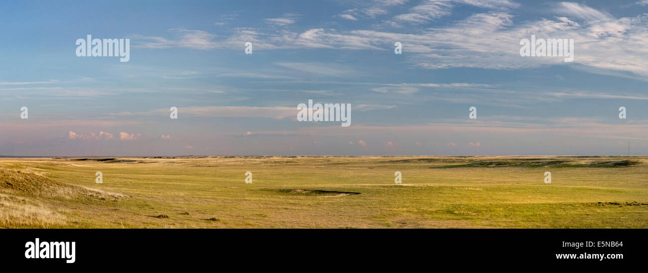 Pawnee National Grassland in northern Colorado - Panoramablick auf kurzen Rasen Prärie im Sommer Stockfoto