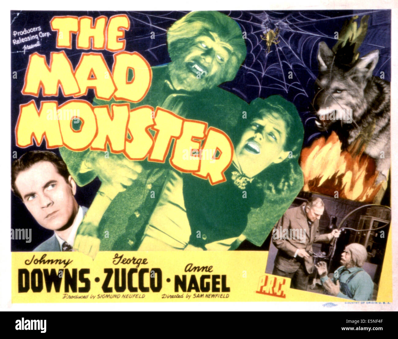 Das verrückte MONSTER, Johnny Downs, Glenn Strange, Anne Nagel, George Zucco, 1942 Stockfoto