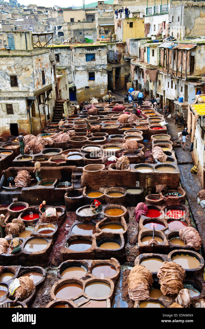 Fes, Leather District, sterben Gruben, Skins, Läden, die alle Arten von Lederwaren, Gerberei Chaouwara, Medina, Souk, Fes, Fez, Marokko Stockfoto