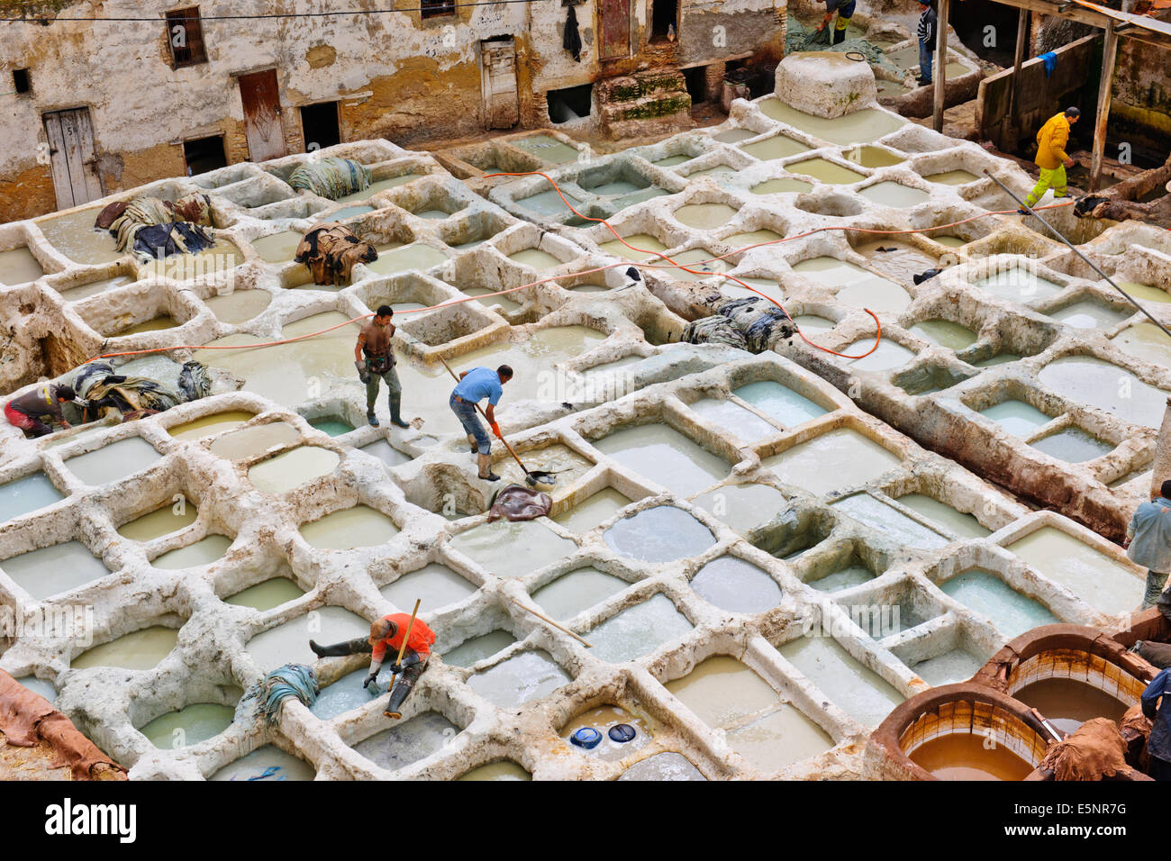 Fes, Leather District, sterben Gruben, Skins, Läden, die alle Arten von Lederwaren, Gerberei Chaouwara, Medina, Souk, Fes, Fez, Marokko Stockfoto