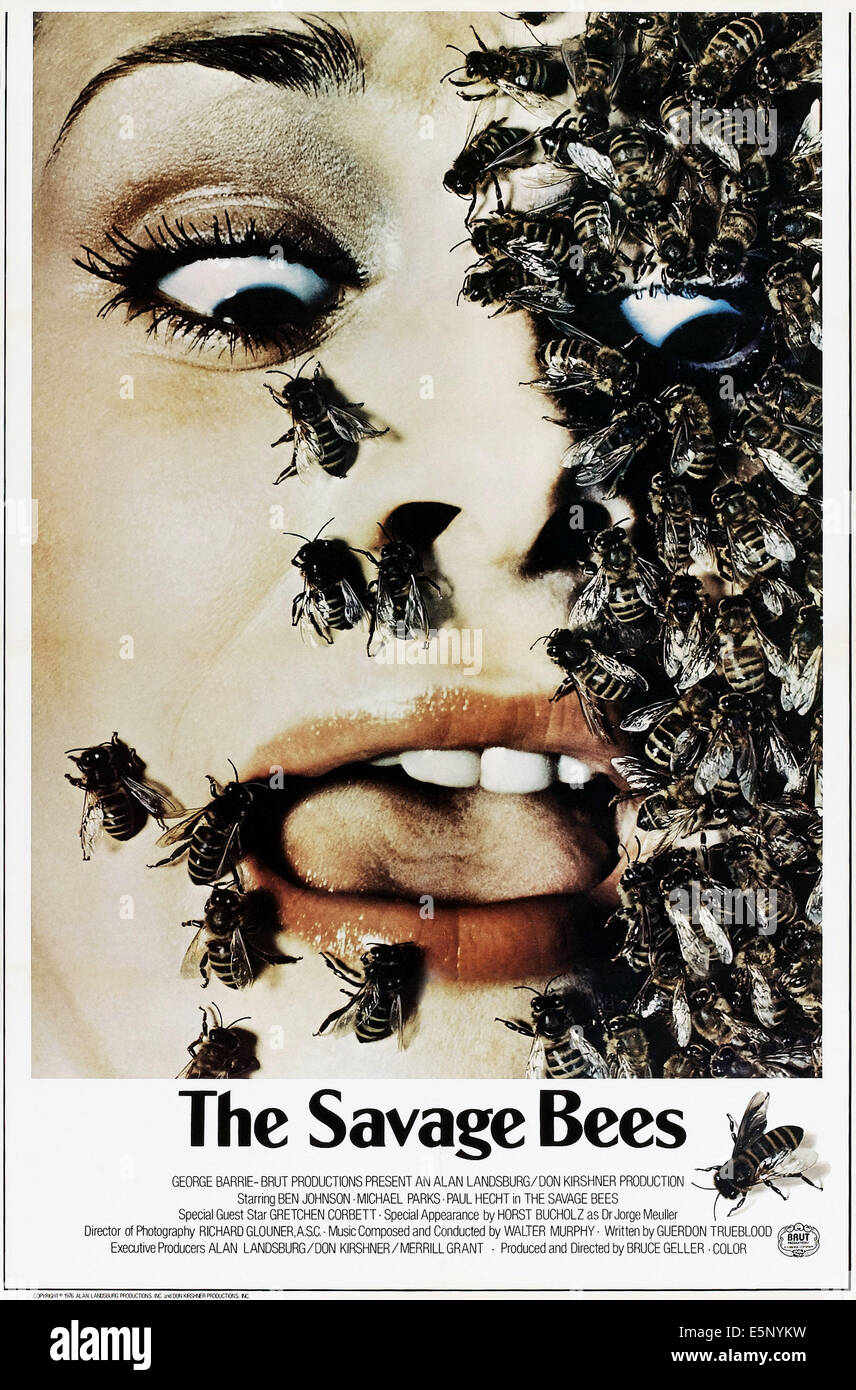 DIE wilden Bienen, US-Plakat, 1976 Stockfoto