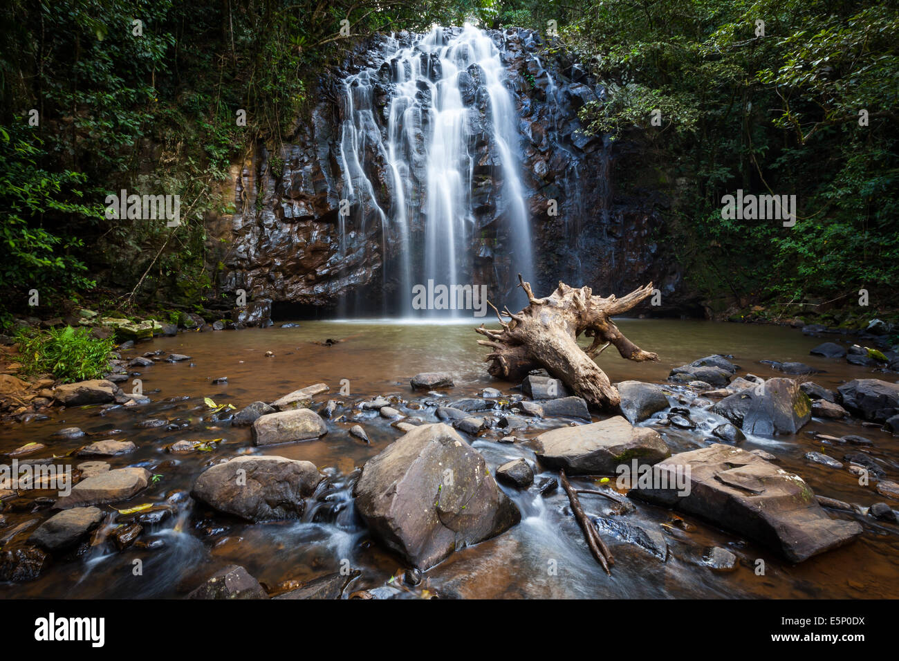 Ellinjaa Falls, Far North Queensland - Australien Stockfoto